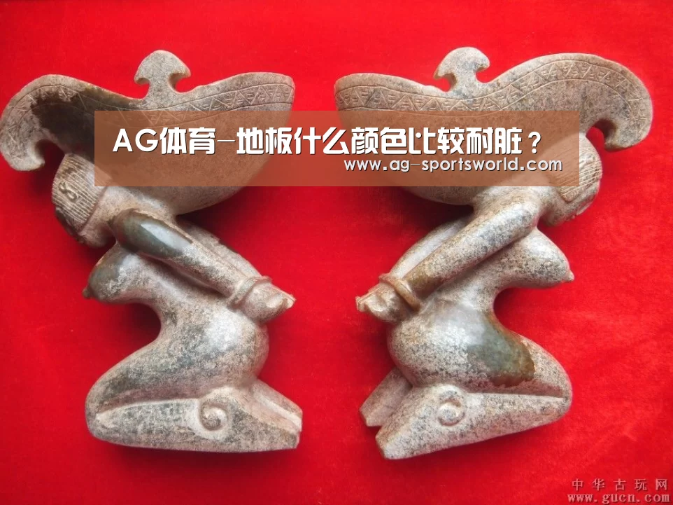 AG体育-地板什么颜色比较耐脏?(图2) AG足球