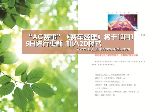 “AG赛事”《赛车经理》将于12月15日进行更新 加入2D模式(图2) AG体育
