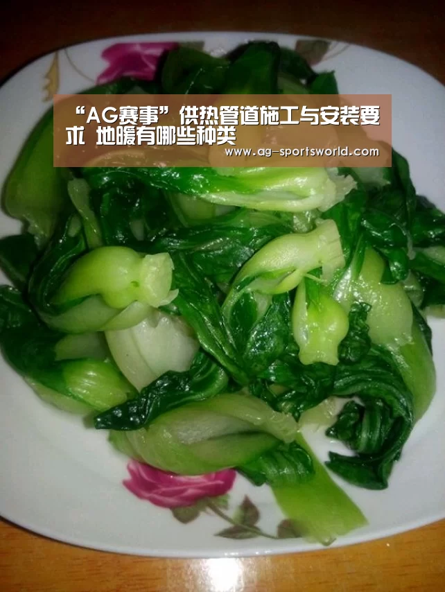 “AG赛事”供热管道施工与安装要求 地暖有哪些种类(图2) AG赛事