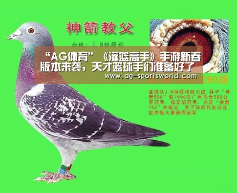 “AG体育”《灌篮高手》手游新春版本来袭,天才篮球手们准备好了吗?(图2) AG赛事