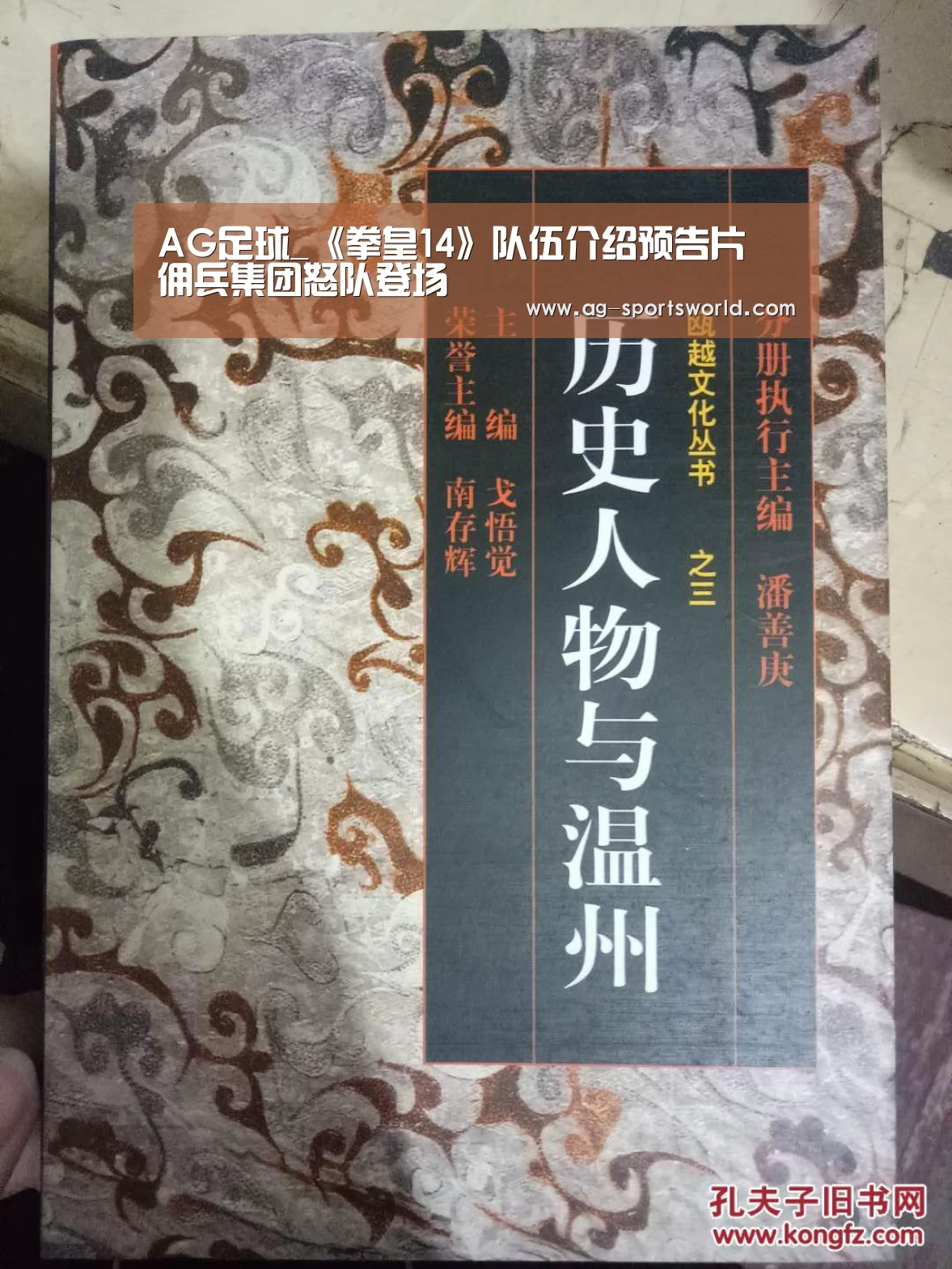 AG足球_《拳皇14》队伍介绍预告片 佣兵集团怒队登场(图3) AG体育